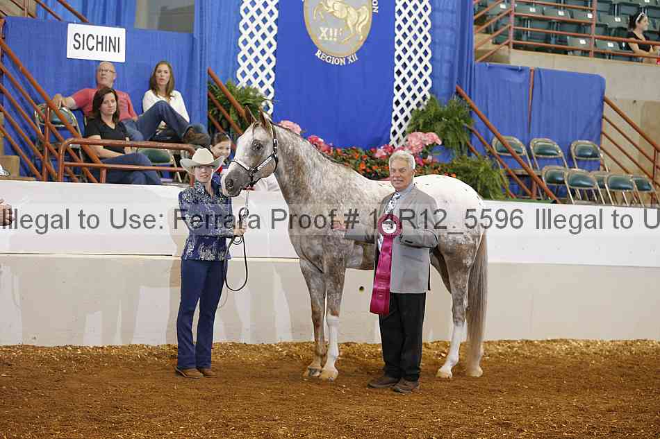 Proof Number 14r12_5596