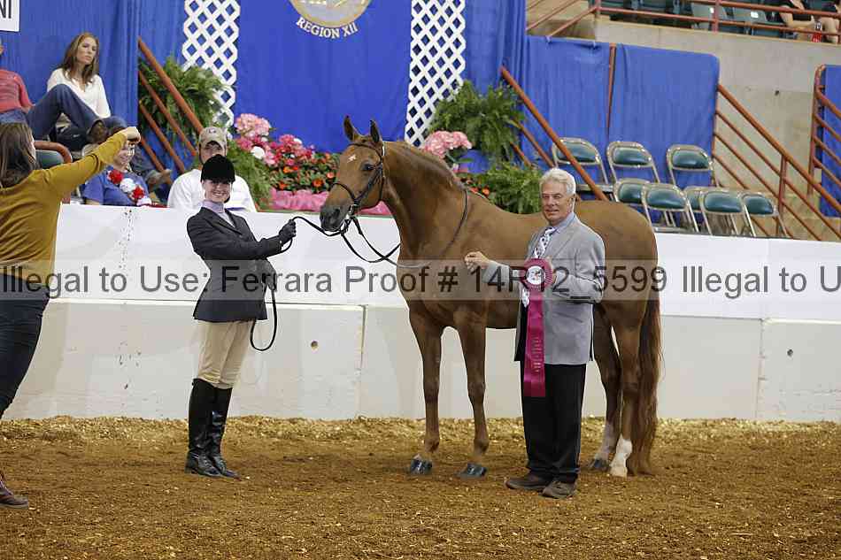 Proof Number 14r12_5599