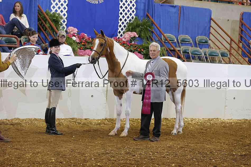 Proof Number 14r12_5603