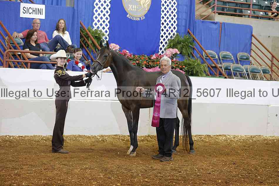Proof Number 14r12_5607