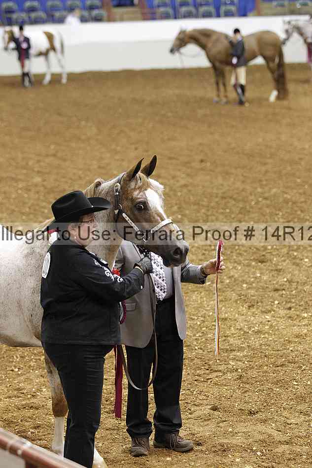 Proof Number 14r12_5610