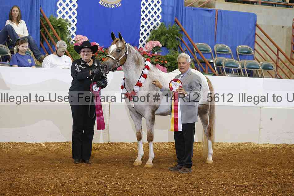 Proof Number 14r12_5612