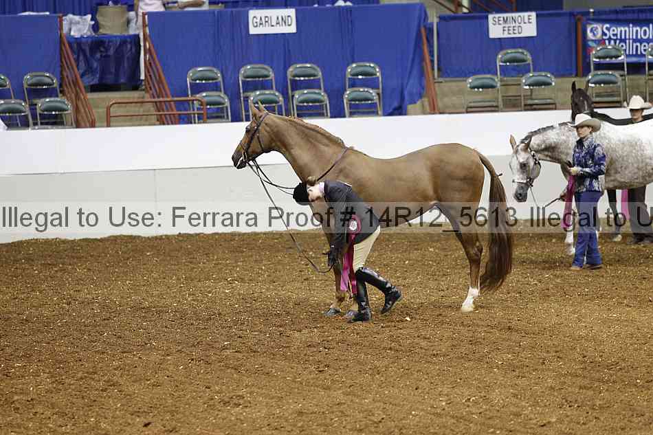 Proof Number 14r12_5613