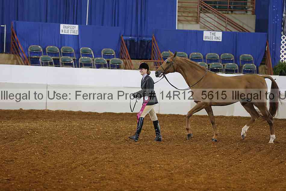 Proof Number 14r12_5615