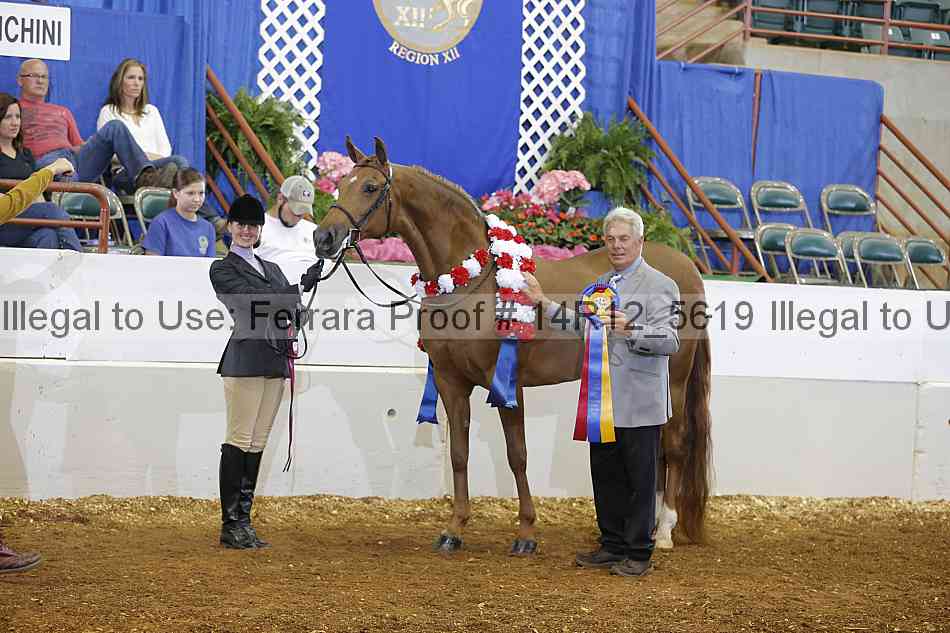 Proof Number 14r12_5619