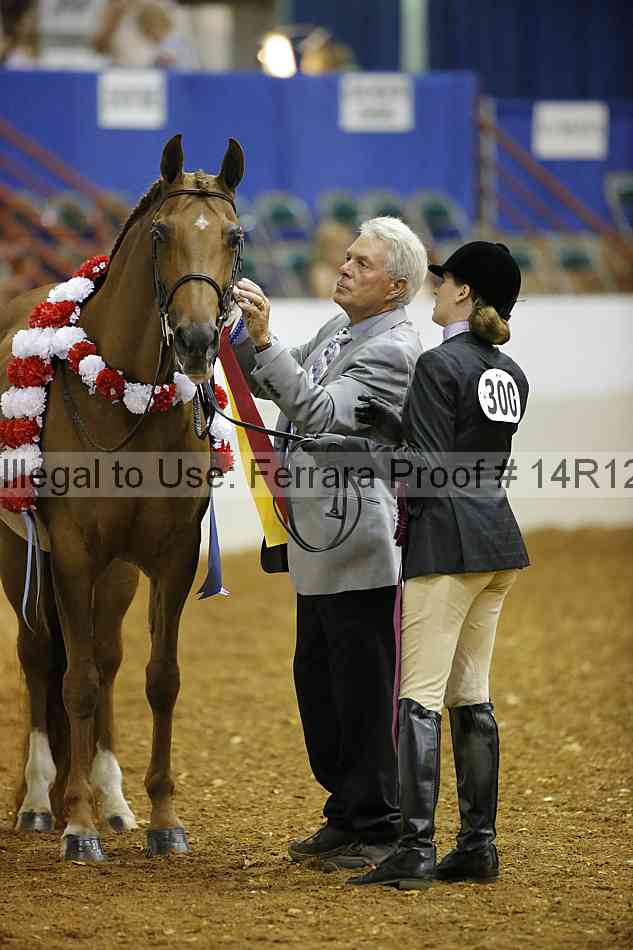 Proof Number 14r12_5620