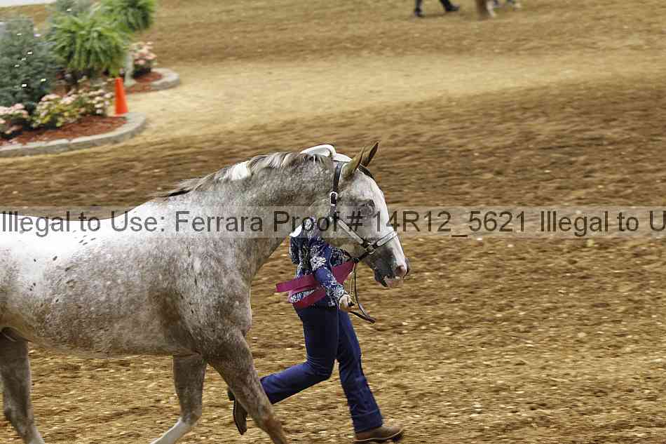 Proof Number 14r12_5621