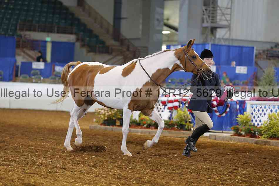 Proof Number 14r12_5629