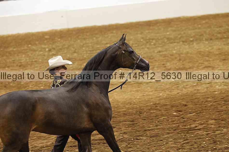 Proof Number 14r12_5630