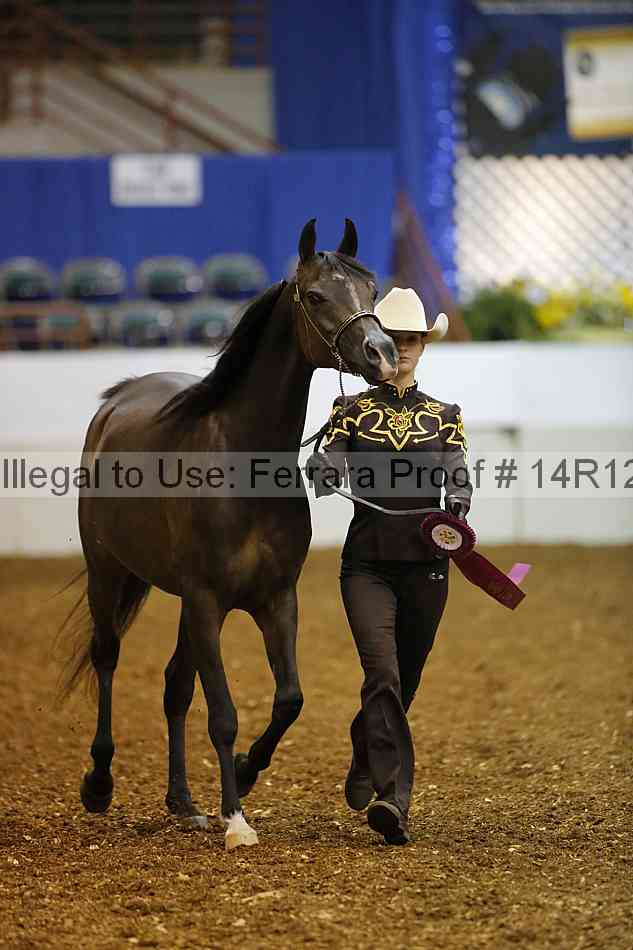 Proof Number 14r12_5634