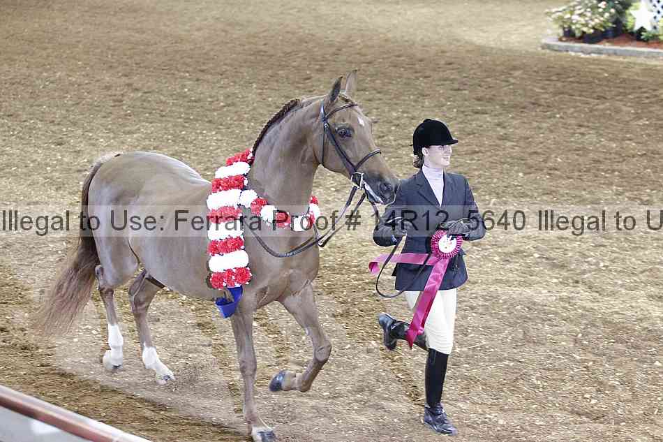 Proof Number 14r12_5640