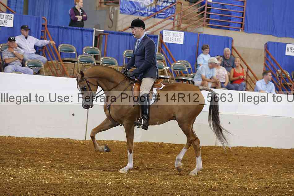 Proof Number 14r12_5663