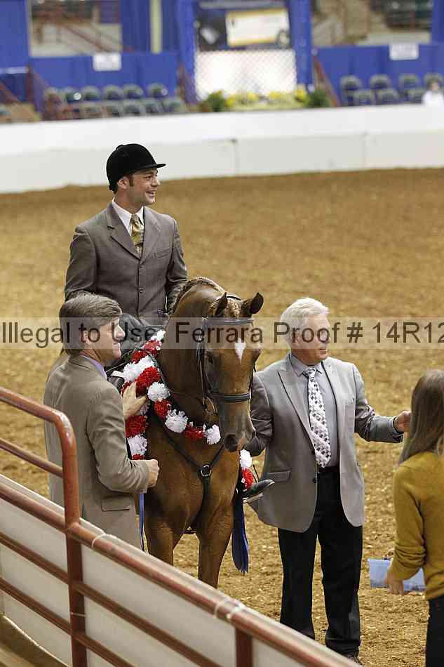 Proof Number 14r12_5677