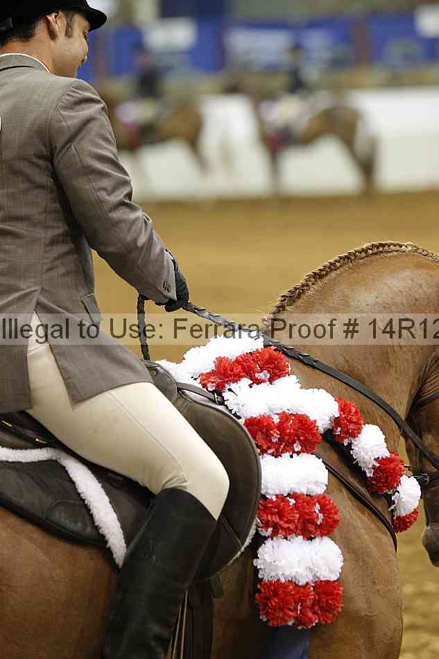 Proof Number 14r12_5683
