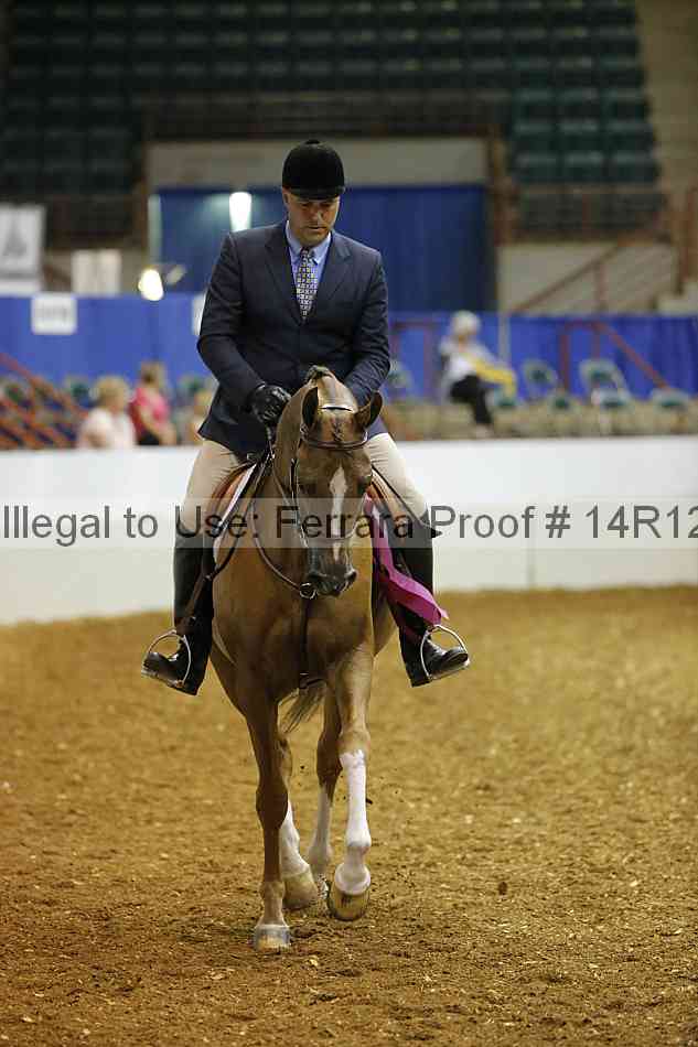 Proof Number 14r12_5695