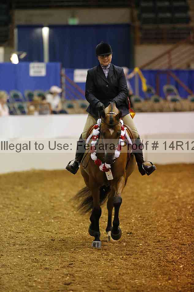 Proof Number 14r12_5699