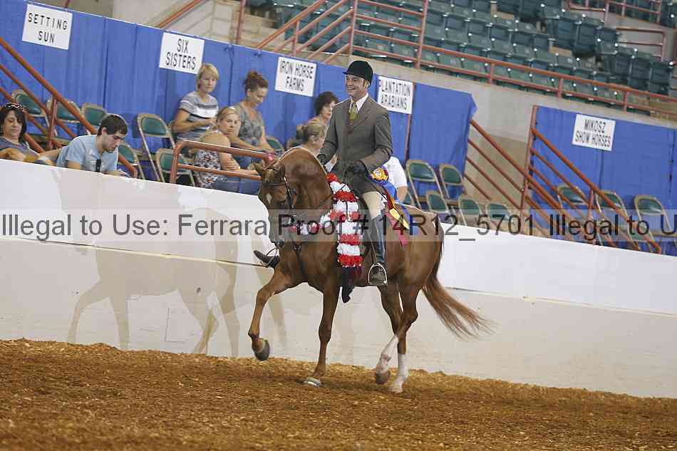 Proof Number 14r12_5701
