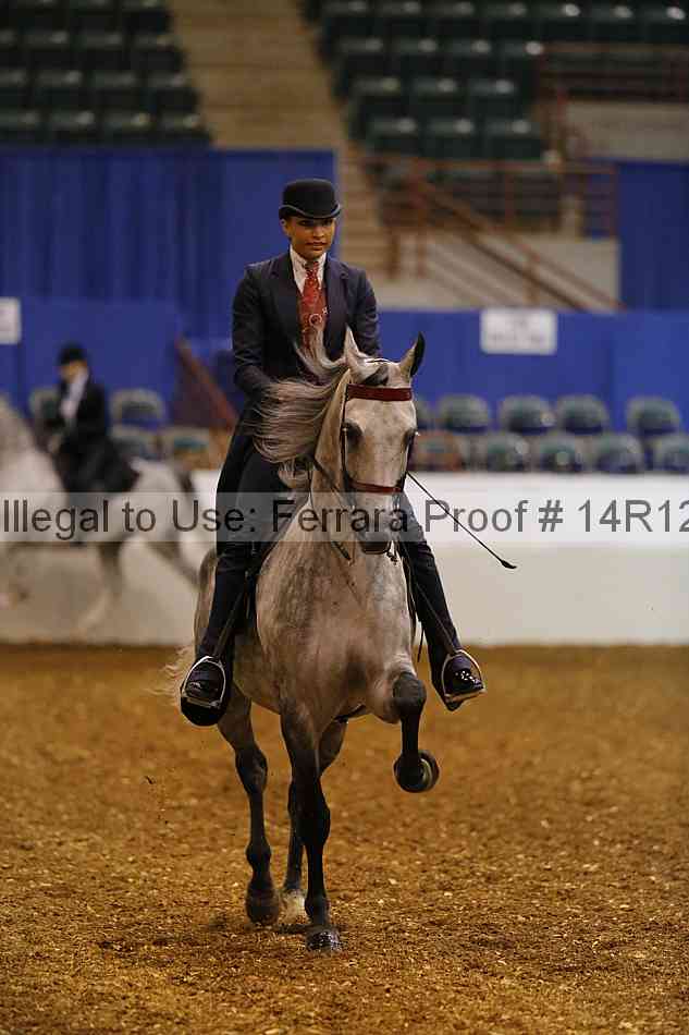Proof Number 14r12_5721