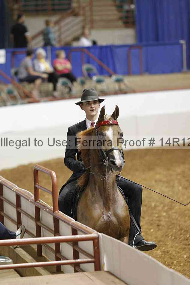 Proof Number 14r12_5736