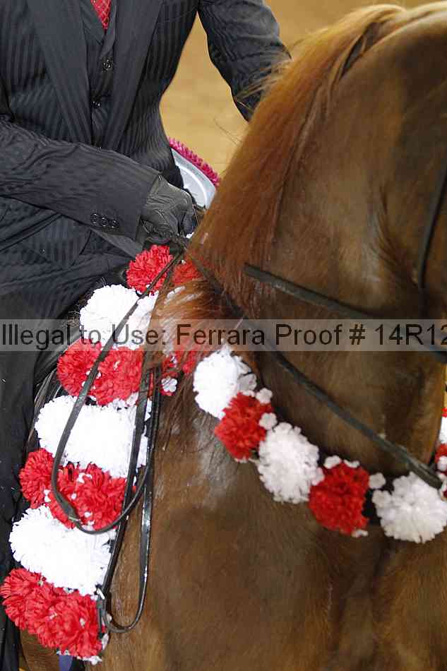 Proof Number 14r12_5744