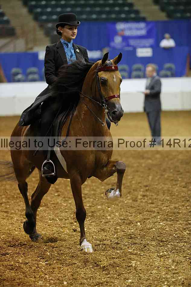 Proof Number 14r12_5794