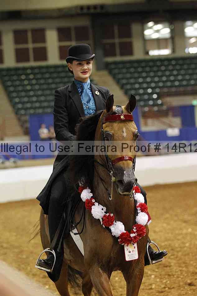 Proof Number 14r12_5801