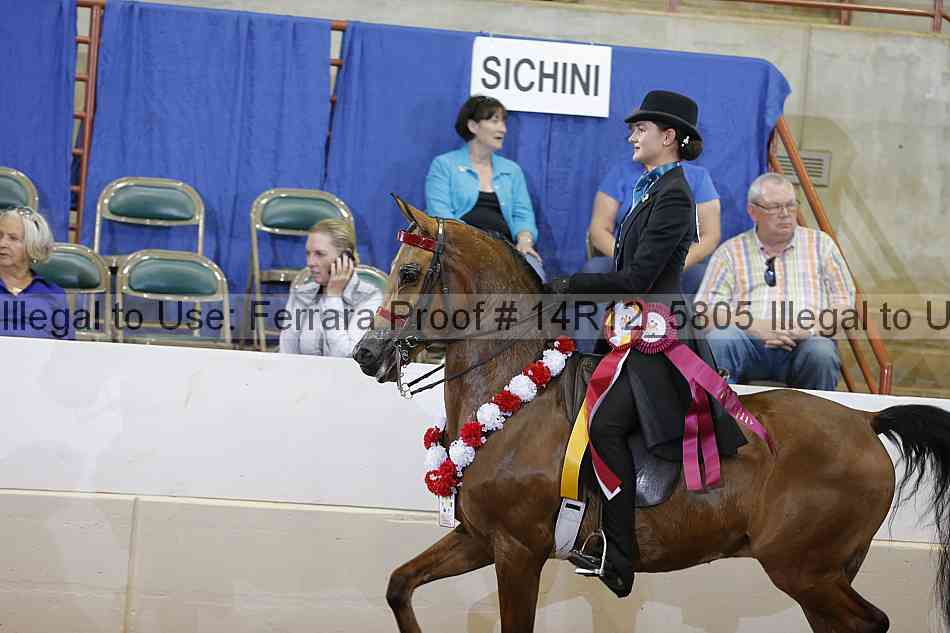 Proof Number 14r12_5805