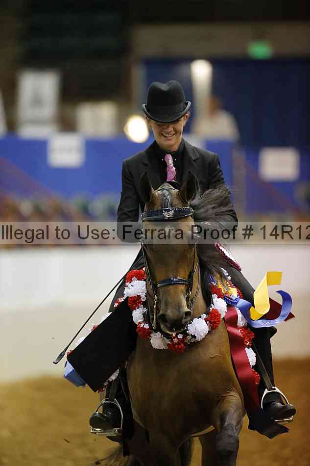 Proof Number 14r12_5818