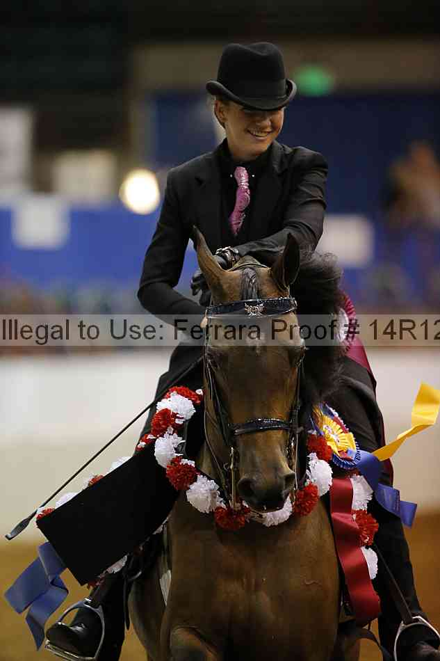 Proof Number 14r12_5819