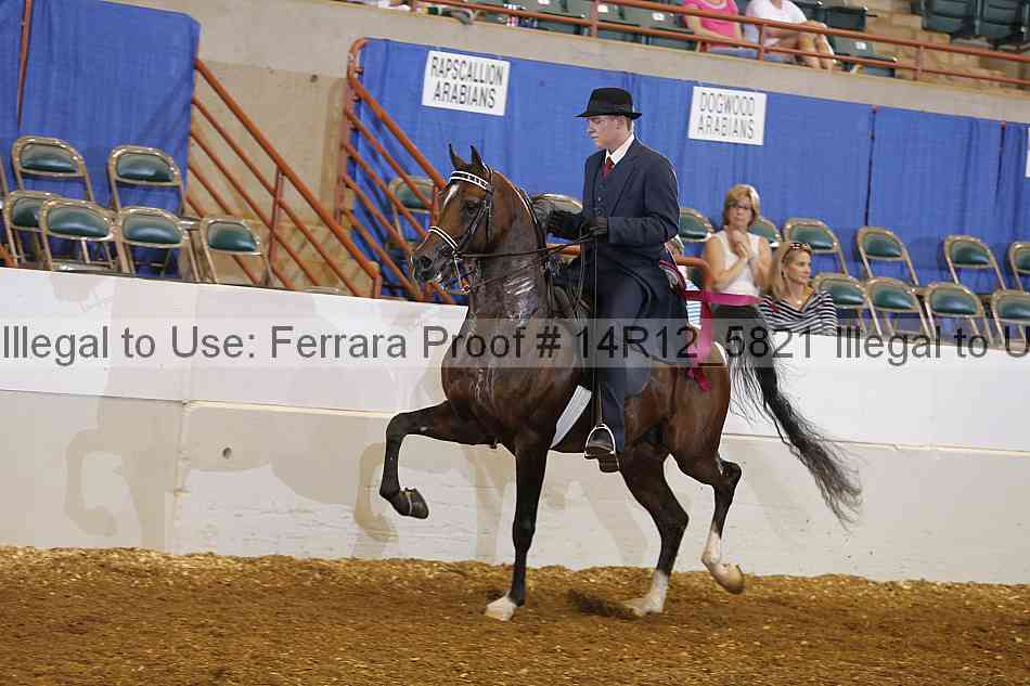 Proof Number 14r12_5821