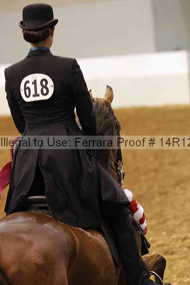 Proof Number 14r12_5828