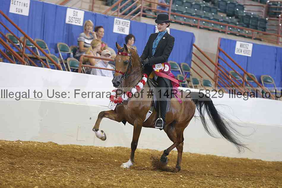 Proof Number 14r12_5829
