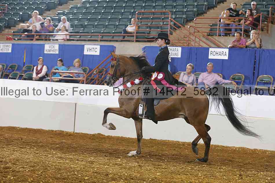 Proof Number 14r12_5832