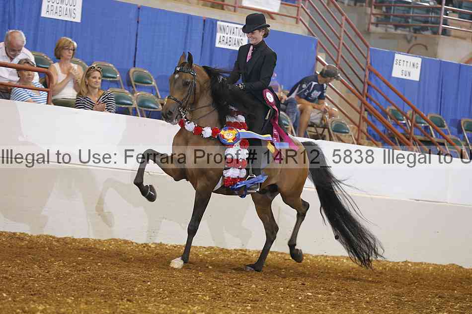Proof Number 14r12_5838