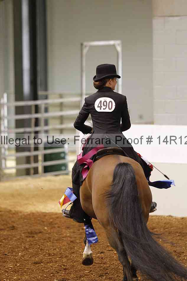 Proof Number 14r12_5839