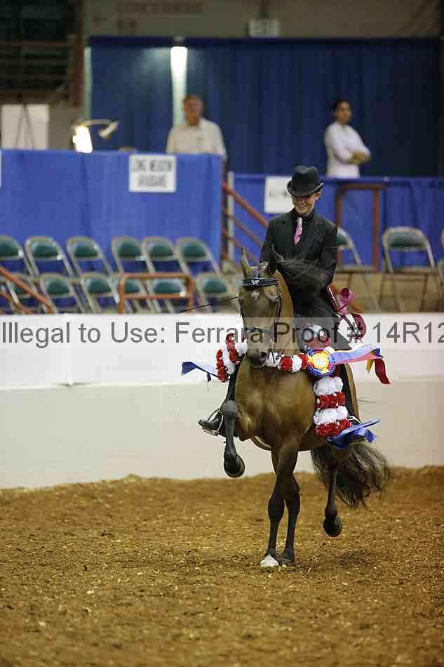 Proof Number 14r12_5843