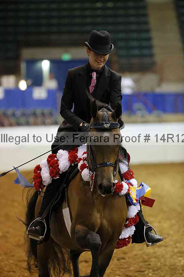 Proof Number 14r12_5846