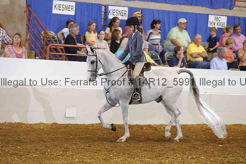 Proof Number 14r12_5991