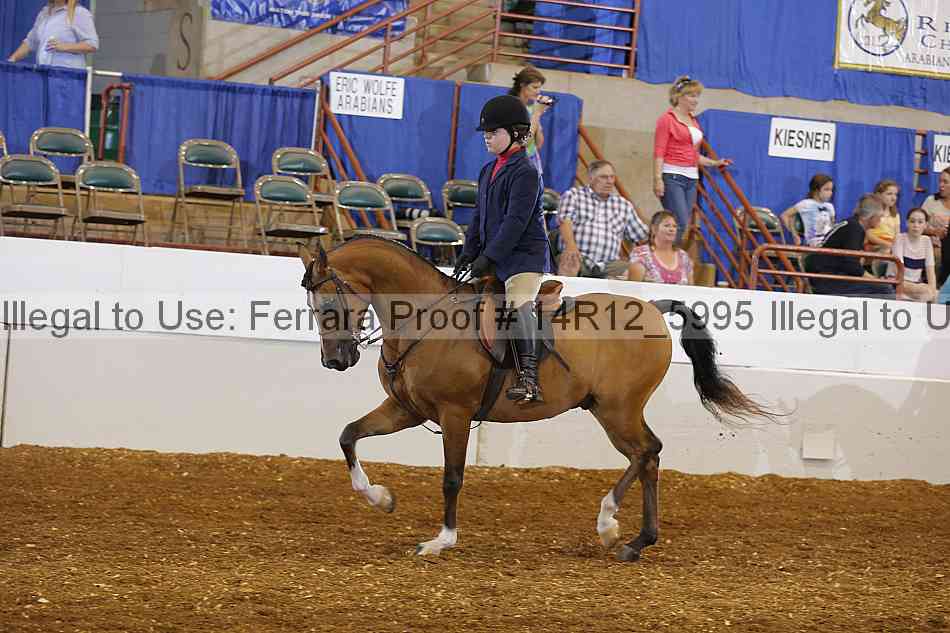 Proof Number 14r12_5995