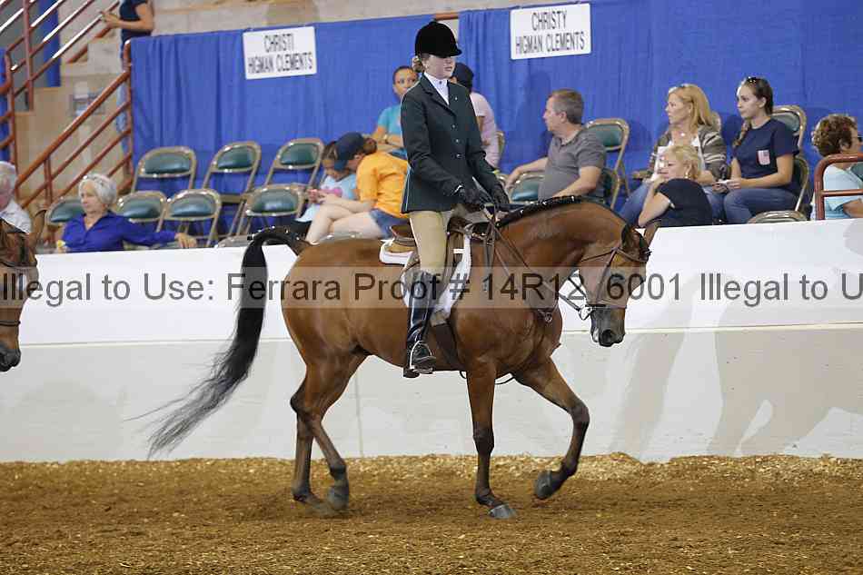 Proof Number 14r12_6001