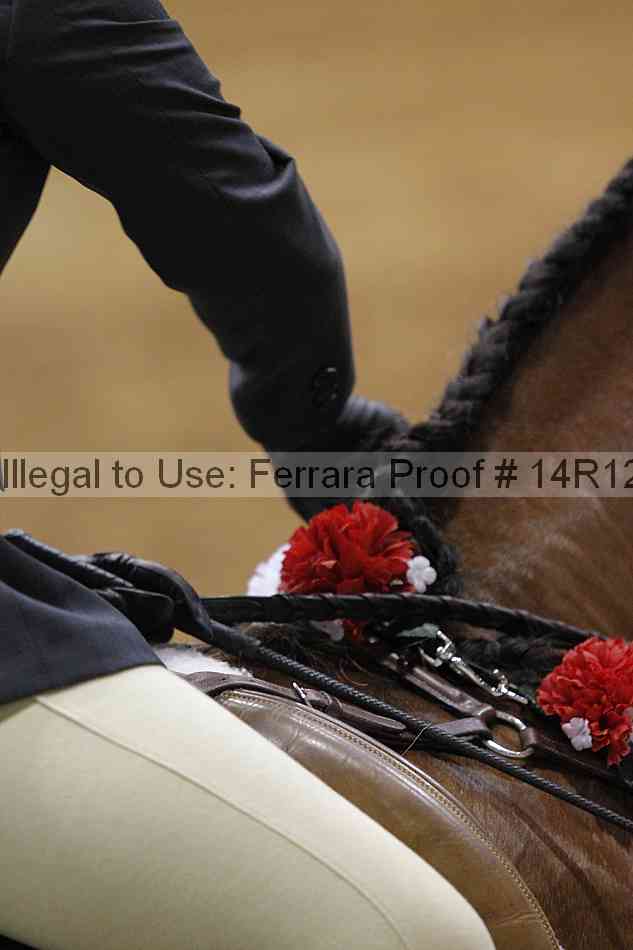 Proof Number 14r12_6012