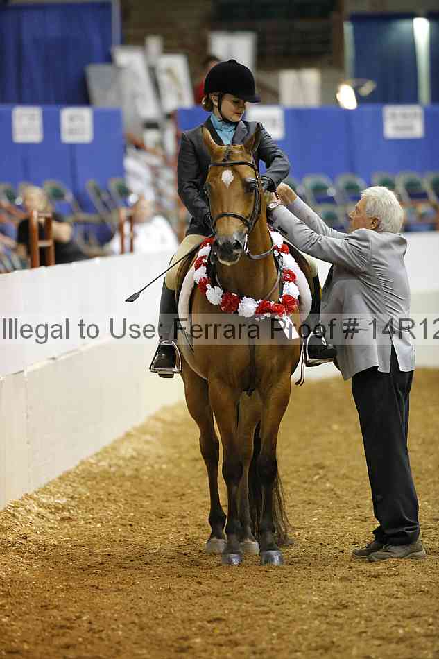 Proof Number 14r12_6013