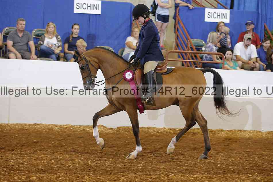 Proof Number 14r12_6022