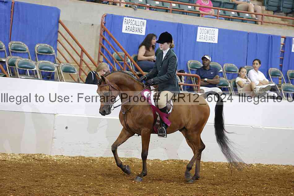 Proof Number 14r12_6024
