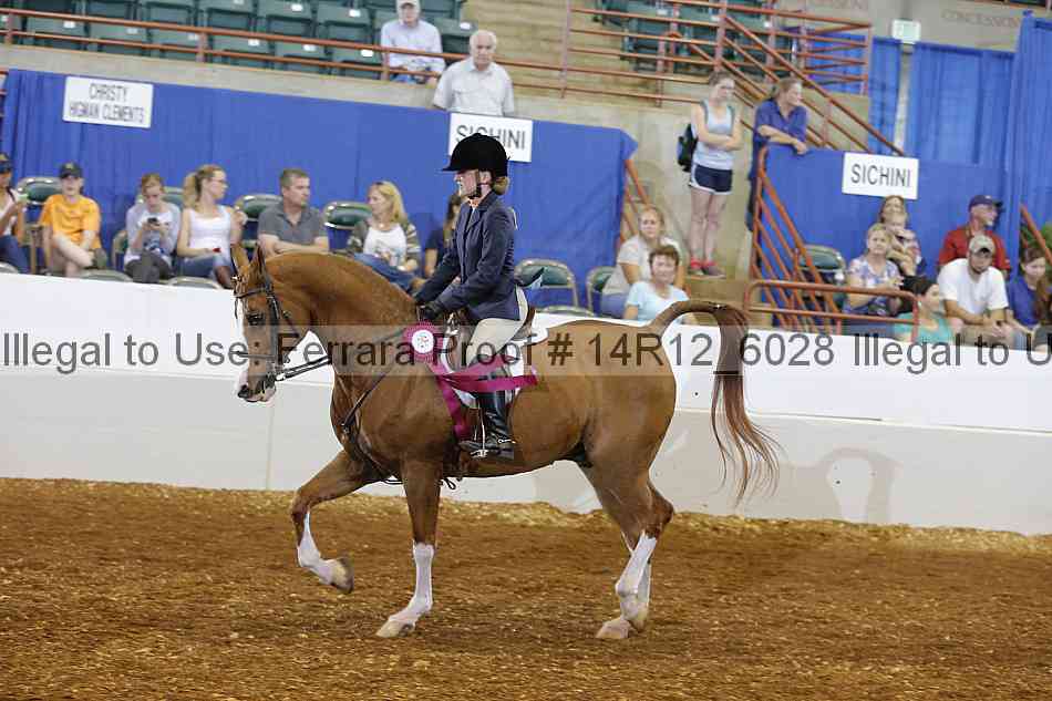 Proof Number 14r12_6028