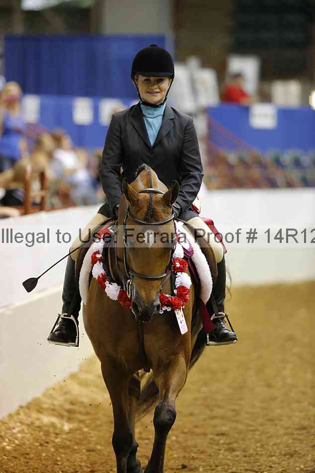 Proof Number 14r12_6037