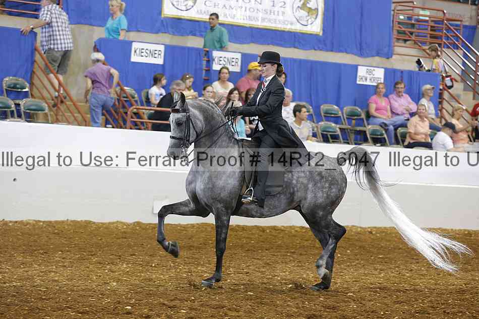 Proof Number 14r12_6047
