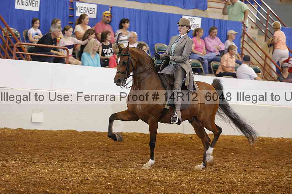 Proof Number 14r12_6048