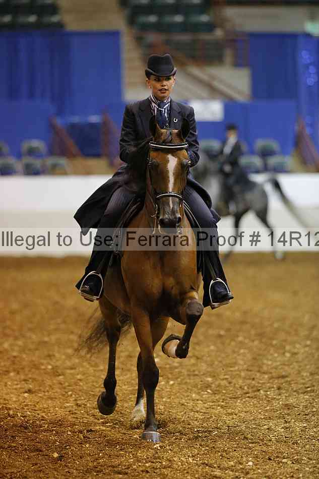 Proof Number 14r12_6051