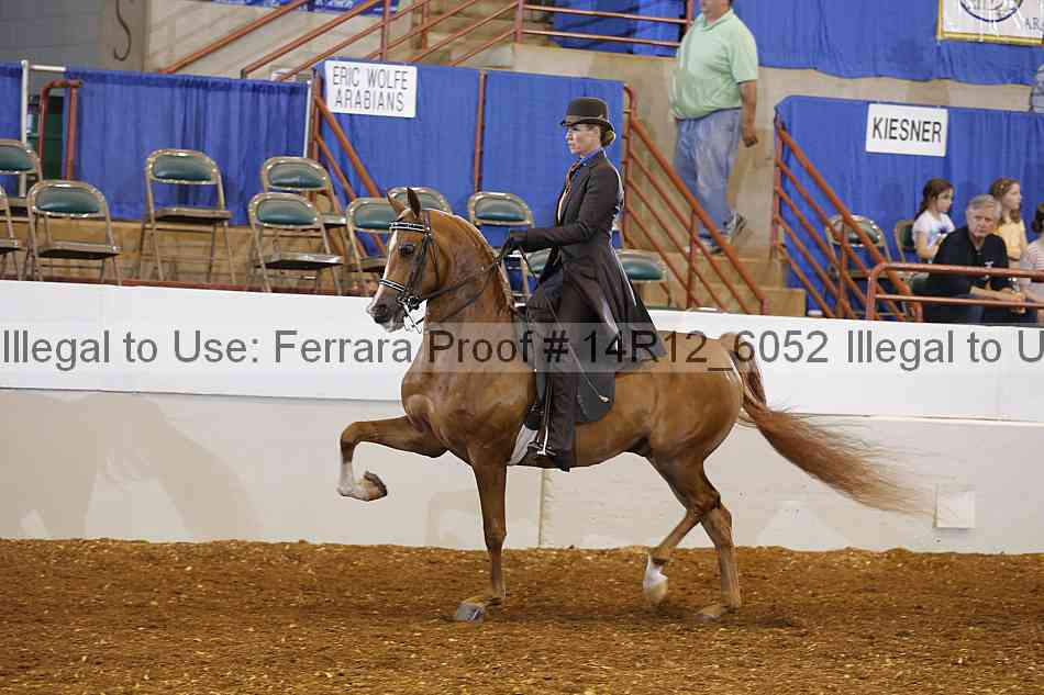 Proof Number 14r12_6052